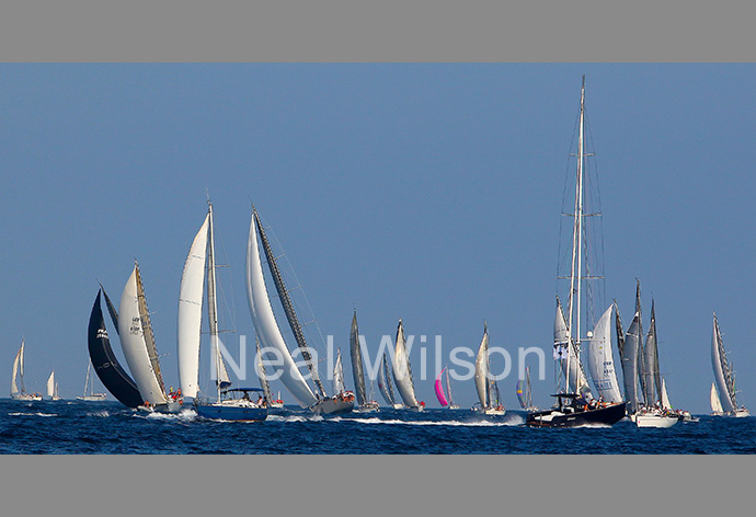 Yacht Race Les Volie Vola St Tropez